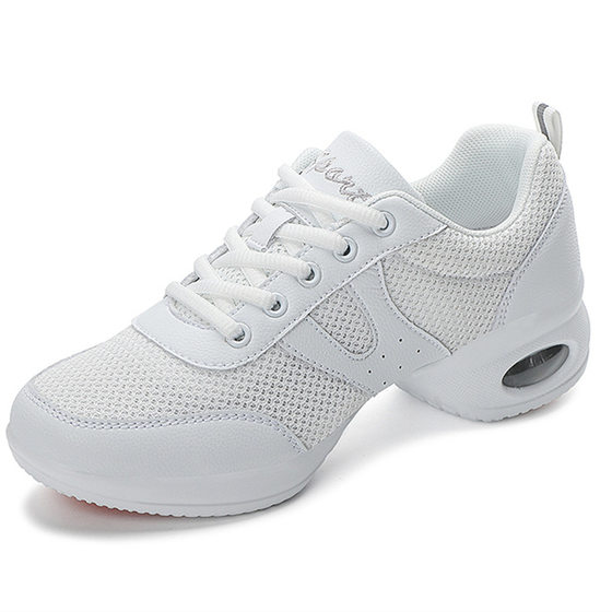 New Style Dancing Shoes Women's Soft Sole Dancing Shoes Not Tired Feet Dancing Shoes Women's Non-slip Beef Sole Square Dancing Shoes