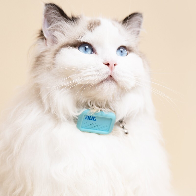 Findmy Pet Locator Anti-потерянное позиционирование Anti-потерянный устройство отслеживает кошку анти-потерянную сигнализацию
