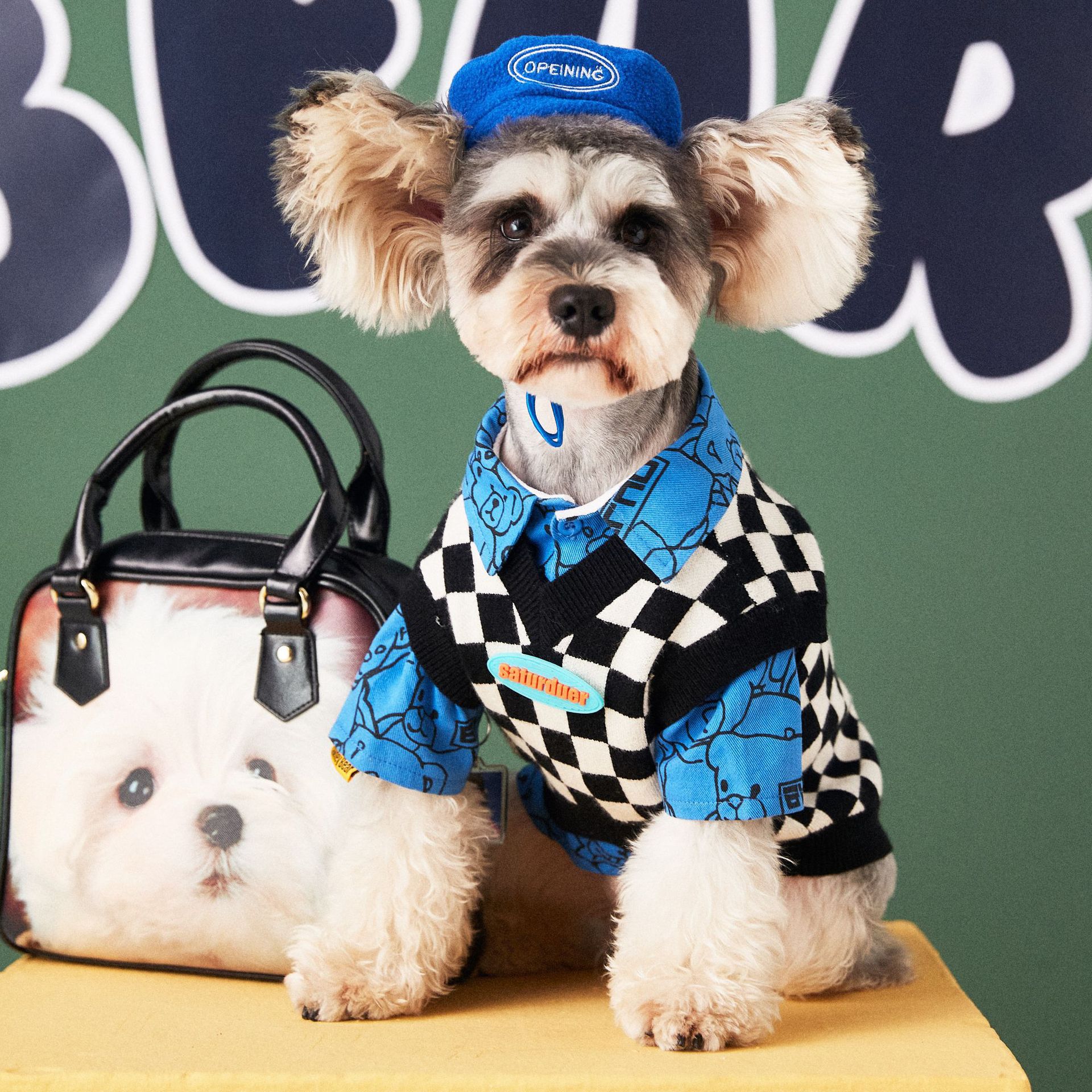 Pet supplies dog accessories beret decorative hat concave shape