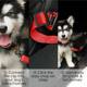 Dog leash cross-border pet safety belt dog car pet leash safety rope adjustable car leash