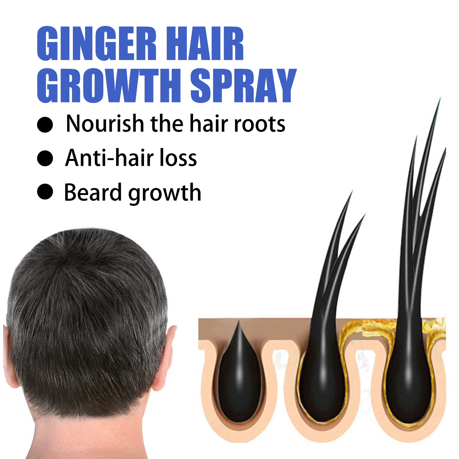 EELHOE ginger hair growth spray scalp massage moisturizing thick hair hair care nutrition spray
