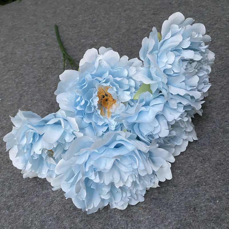 Spring leafless Blue