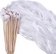 White Ribbon Lace * Golden Bell * 01*01