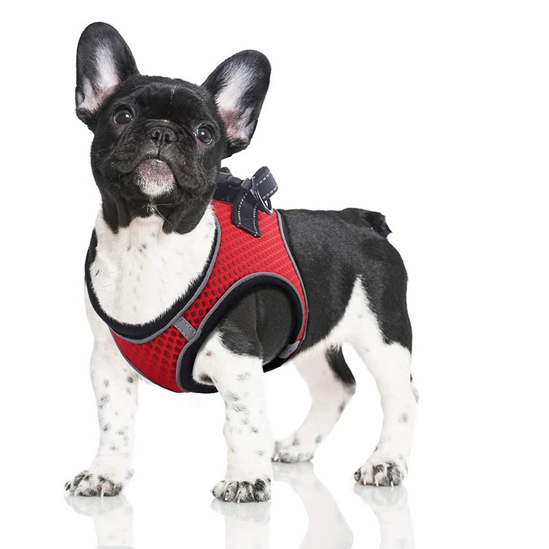 Pet leash anti-break cat vest chest strap breathable cat walking dog walking universal dog chain manufacturers wholesale