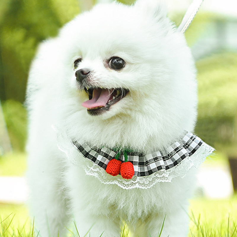Pet Traction Rope Anti-break Vest Dog Chest Strap Medium and Small Dog Cat Traction Rope Chest Strap Wholesale