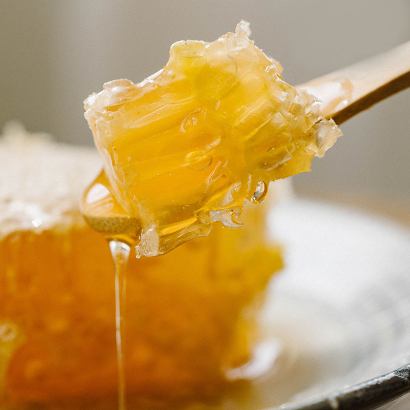 Fresh honeycomb honey 500g boxed jingtiao mountain flower nest honey wholesale bulk in stock local specialty mature nest honey delivery