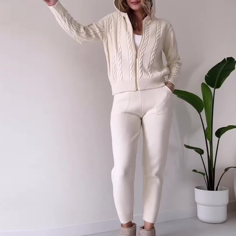 Fall 2023 new European and American Amazon cross-border solid color hemp pattern hooded zipper top casual home suit