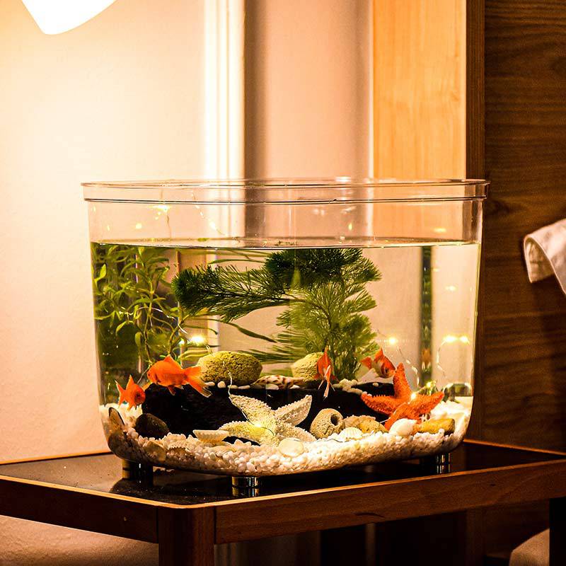 Fish tank transparent PET living room small desktop aquarium turtle tank goldfish tank drop-proof hydroponic landscape ecological tank