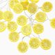 Cross Border New Led Lemon Light String Festival Decorative Light Summer Beach Camping Party Fruit Decorative Colorful Light