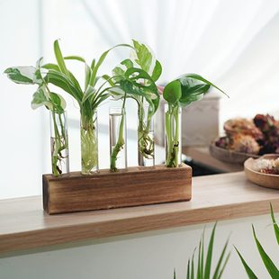 Creative test tube hydroponic tabletop vase home gardening small vase green dill hydroponic plant solid wood ornaments