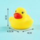 Little Duck