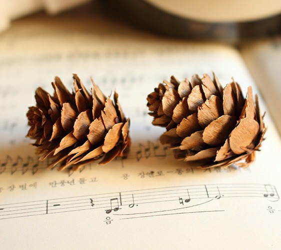 Larch Flower Small Pine Fruit Decoration Pine Tower Wild Children Handmade Creative Handmade diy Kindergarten Decoration Material
