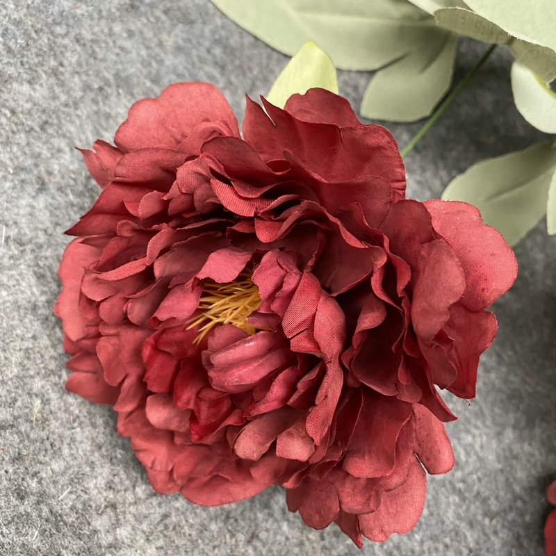 Autumn color flower head autumn red