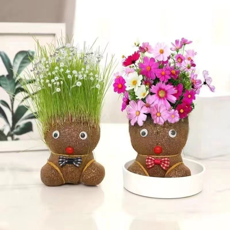 Head long grass doll grass head flowering children planting small pot planting grass green plant observation plant growth kindergarten