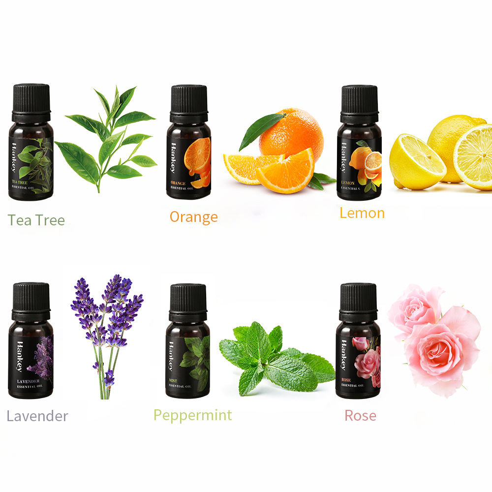 Cross-border Hanji Lavender Essential Oil 10ml Body Massage Massage Essential Oil Beauty Salon SPA Special Factory Straight