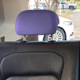 Purple back row 1