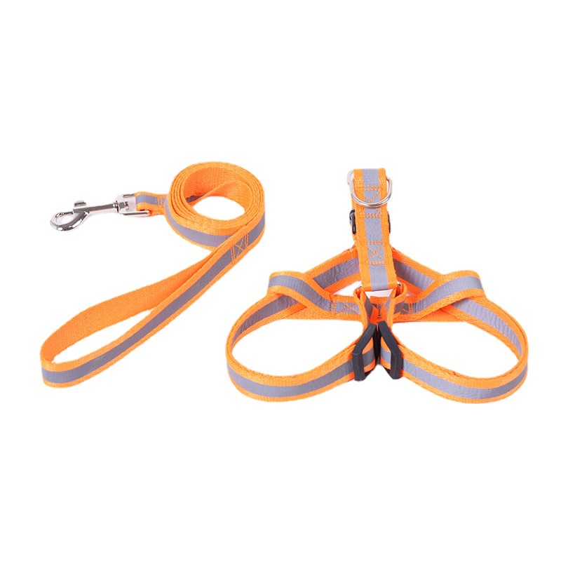 Factory Direct Teddy Bomei VIP Labrador reflective dog chain dog rope pet traction rope chest strap
