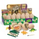 Archaeological dinosaur eggs 12/box