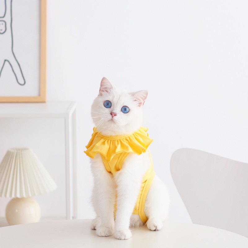 Meoof 薄型通気性ペット弾性手術回復スーツ猫のための抗なめる生理服スプレー後の|undefined