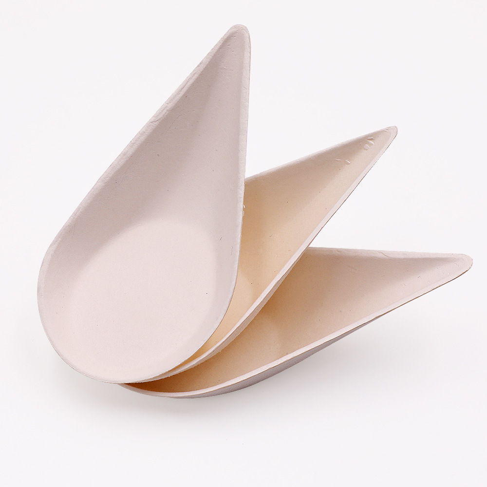 Wholesale and Retail Disposable Bagasse Pulp Degradable Drop-Shaped Mini Dessert Spoon Drop Dish
