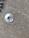 Aluminum alloy gasket