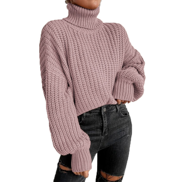 Pull à col roulé en tricot ample à manches longues pour femme, nouvelle mode automne et hiver, commerce extérieur transfrontalier_voghion.com