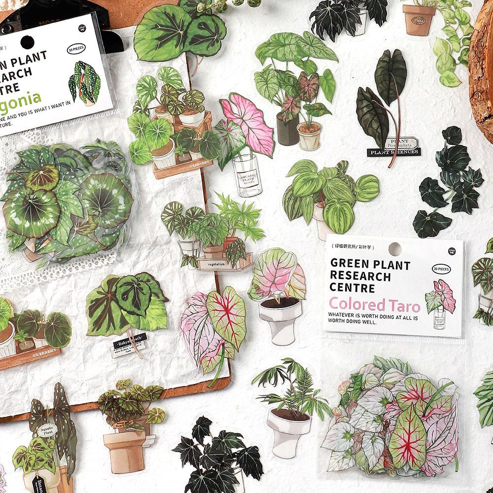 infeelmePET stickers package Green Plant Research Institute series plant hand account DIY material decorative stickers 30 pieces