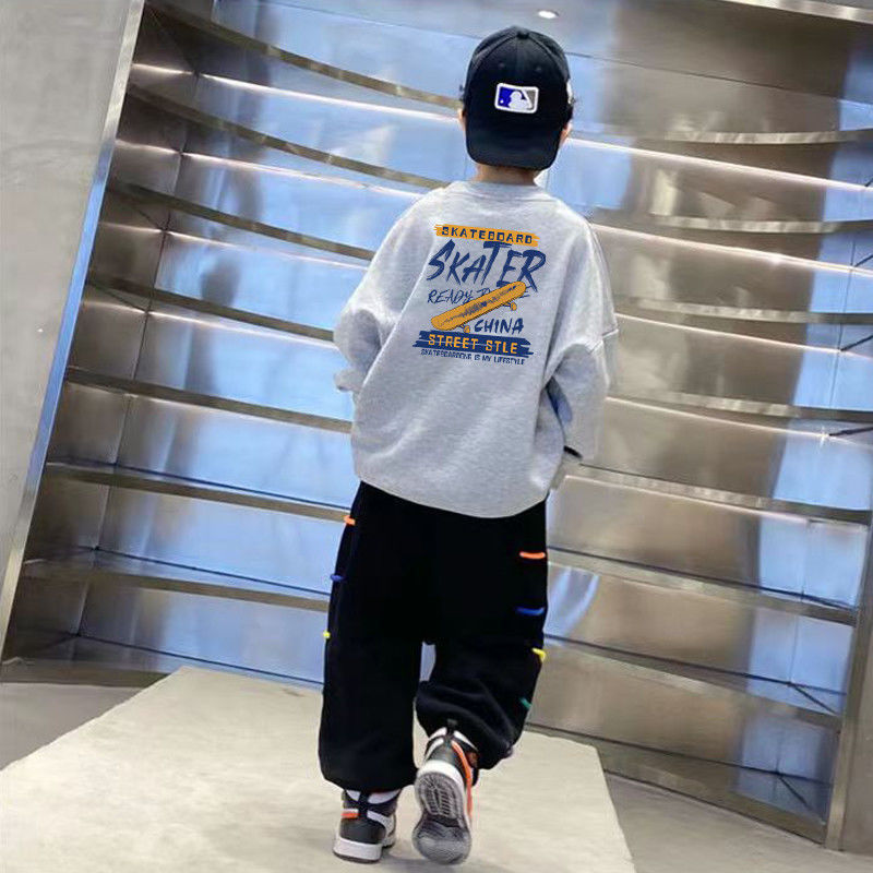 Children's Wear Boy's Pure Cotton Printed Sweater 2023 New Style Middle and Large Children's Crewneck Top Spring and Autumn Boy's Base Shirt Cool