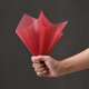 Removable small size [grapefruit red/40 sheets] 30*30CM/23g; see sku description