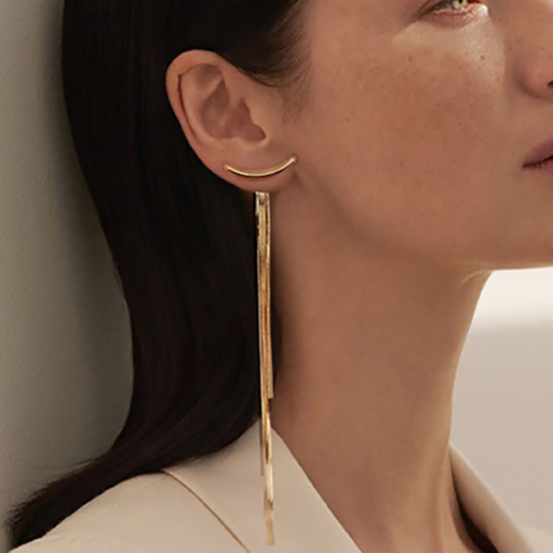European and American fringe earrings for women simple internet celebrity versatile slimming cold metal snake bone long earrings studs 