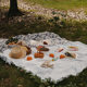 Picnic mat outdoor camping French white picnic cloth props Internet celebrity supplies full set tablecloth moisture-proof beach mat