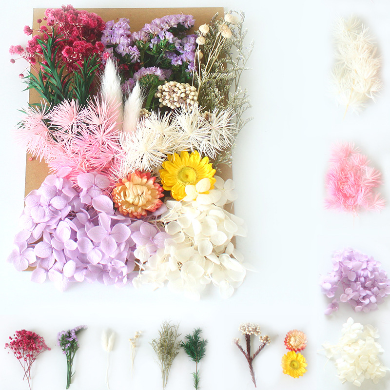 A5 bag dried flower eternal flower material package wholesale Amazon cross-border embossed dried flower DIY handmade floral gift