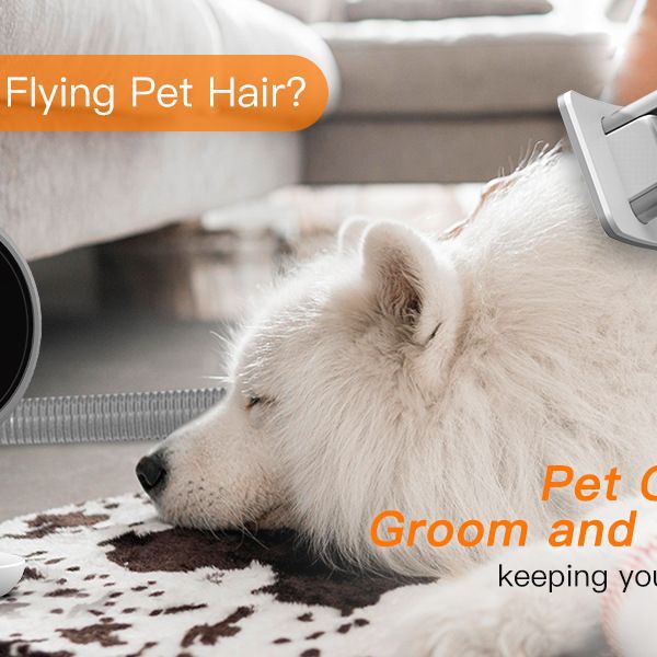 Pet multi-functional hair conditioner for cats and dogs electric clippers for pets thin comb to float hair comb cleaning brush air vacuum cleaner