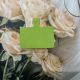 fluorescent green