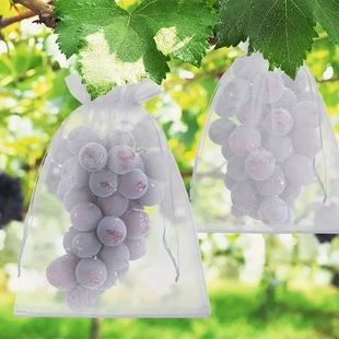 Cross-border Explosive Fruit Protection Bag Gardening Grape Strawberry Fruit Vegetable Protection Mesh Bag Bird and Insect Protection Mesh Bag