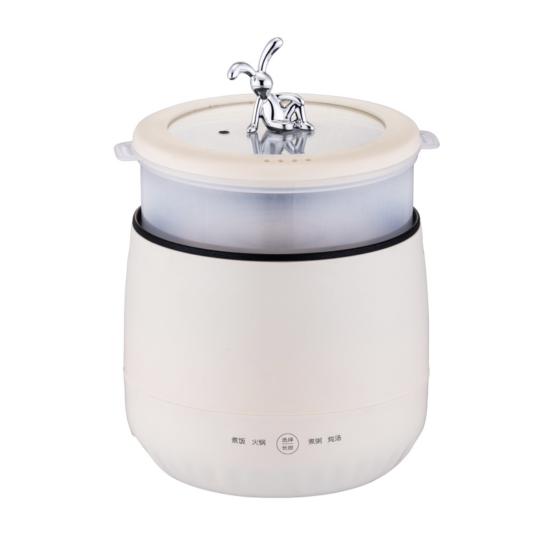 Multi-functional rice cooker 2 person rice cooker household cooking mini small power non-stick electric hot pot dormitory soup small pot