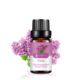 Single: Clove Clove10ml