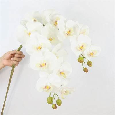 High quality artificial flower 9 head 7 head phalaenopsis super realistic feel fake flower Nordic dining table decoration wedding floral