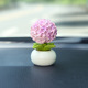 Hydrangea