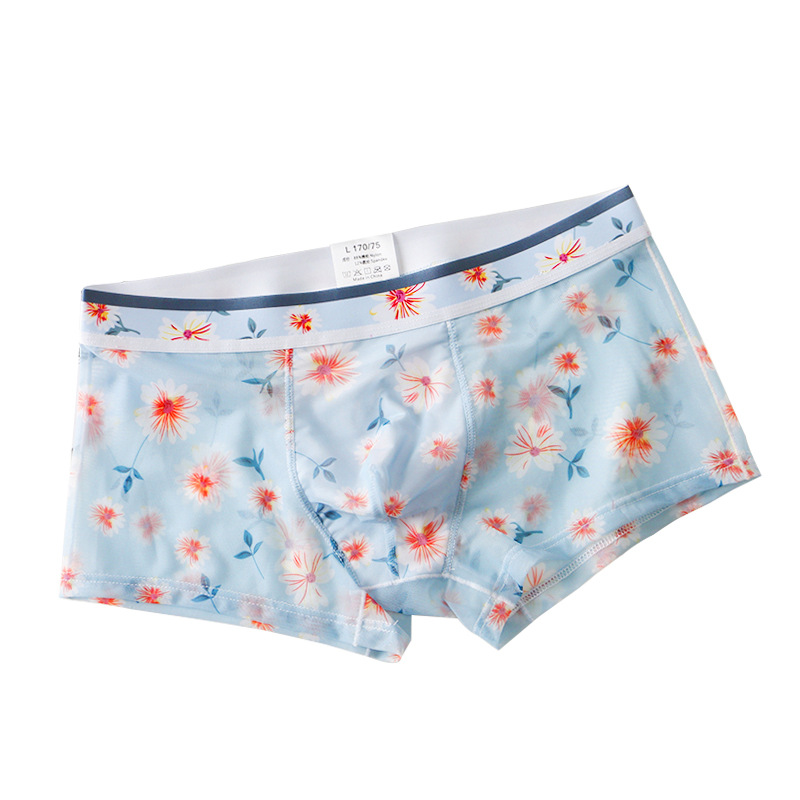 New Style Mesh Ultra-thin Transparent Men's Underwear Sexy Breathable Boxers Summer Printed Boxer Shorts for Men