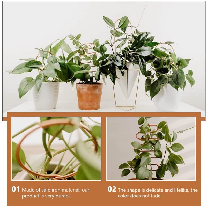Cross-border Climbing Support for Garden Plants Creative Flower Pot Support Geometric Metal Iron Fixing Rod
