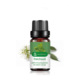 Single: patchouli Patchouli 10ml