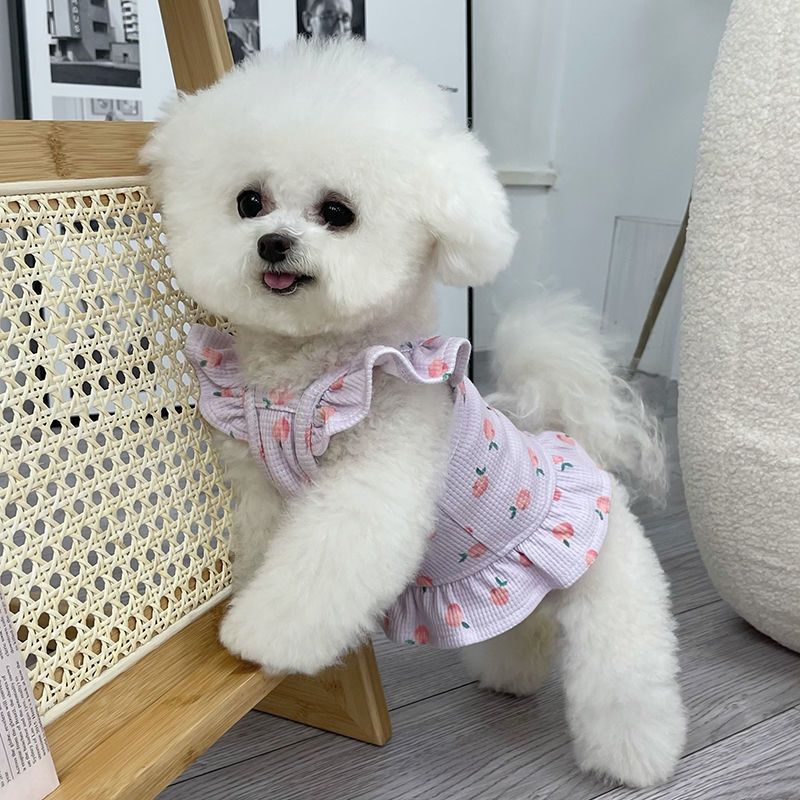 Factory direct supply pet clothes spring and summer new flying sleeve short skirt teddy bear puppy thin universal vest