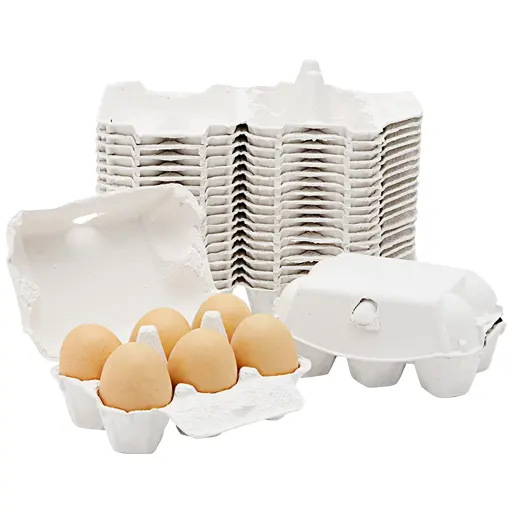 Pulp molded egg box 6 pieces white paper egg box environmentally friendly and degradable