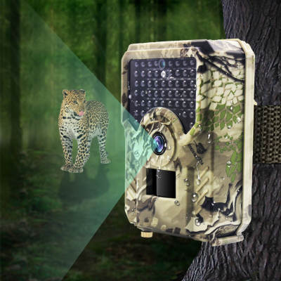 Wholesale HD infrared camera field hunting camera scientific research tracking night vision automatic video camera