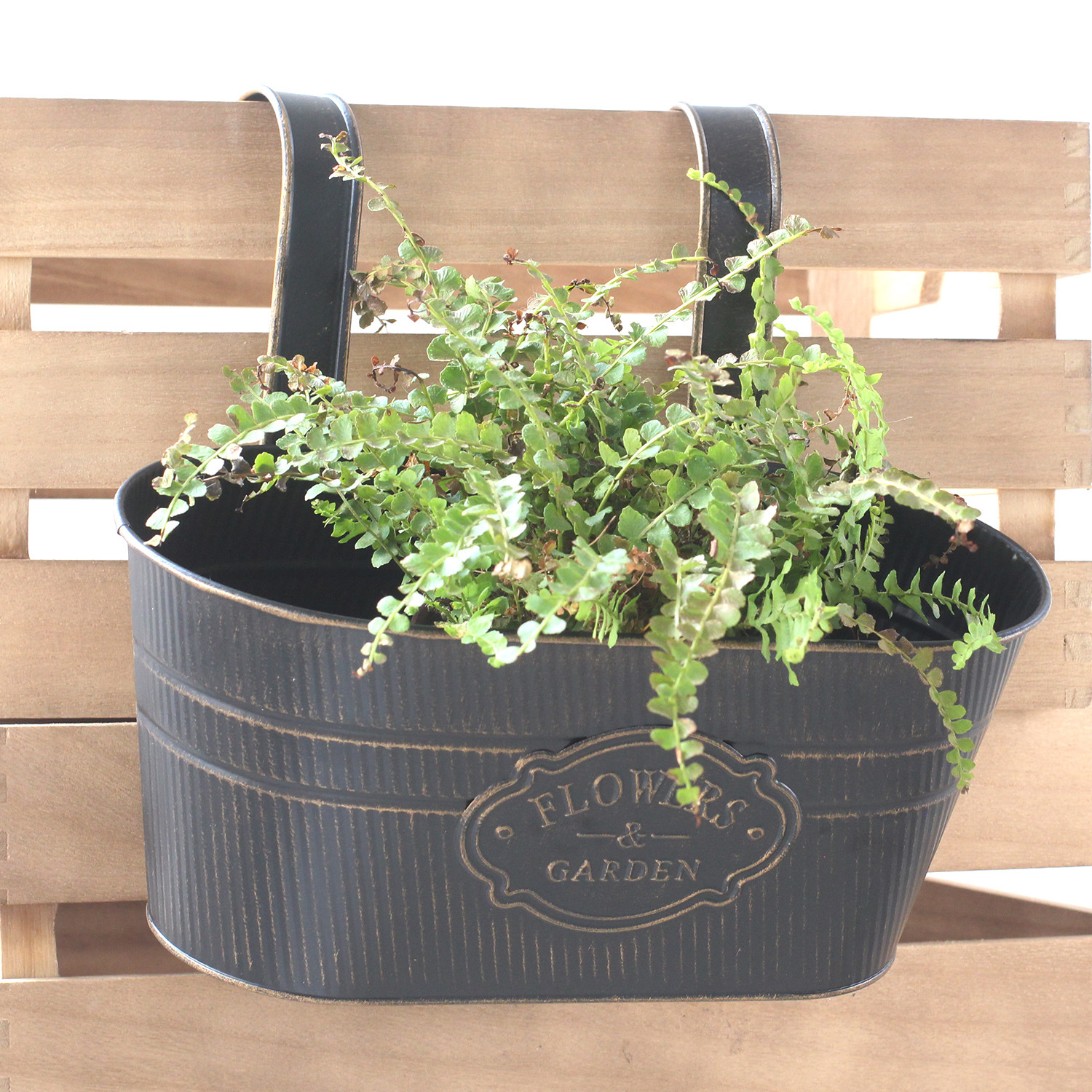 Cross-border Amazon retro distressed tin flower pot double hook detachable hook oval flower pot tin hanging