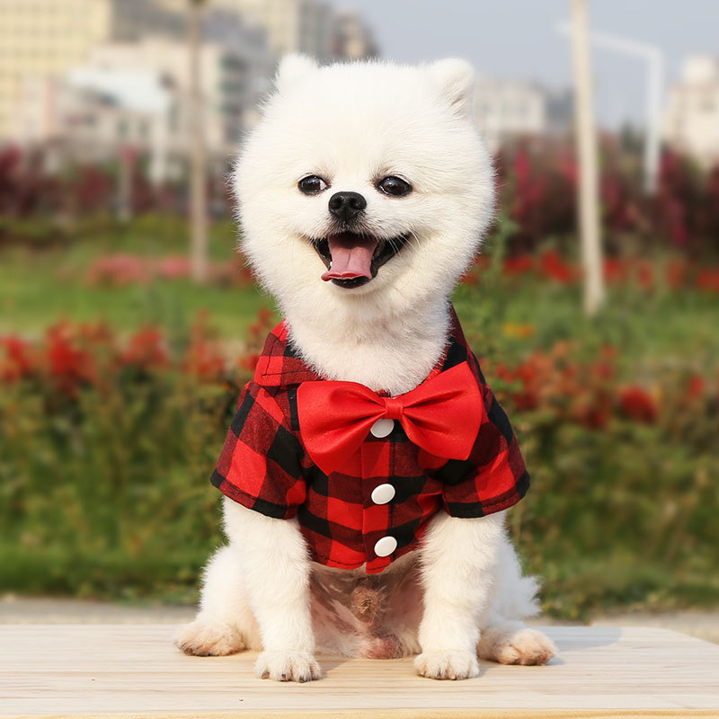 春夏秋犬シャツスーツウェディングドレステディベアペット服用品小中大型犬猫|undefined