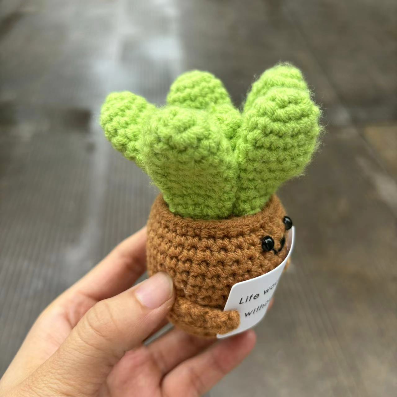 Amazon Hot Selling Handmand Emotionlal Support Plant Gift Handmade Potted Plant
