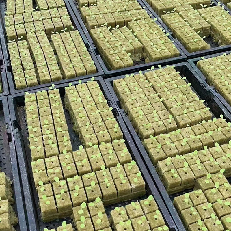 農業用岩綿25*25*25育苗ブロック実体メーカー無土栽培岩綿育苗基体|undefined