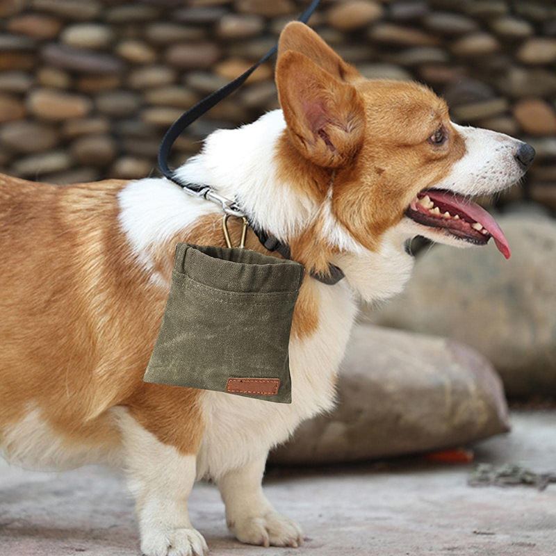 Pet Outing Feeding Dog Food Bag Outdoor Dog Training Portable Training Waist Bag Dog Training Snack Bag